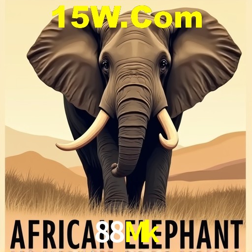 PIX Instantâneo 88Mk